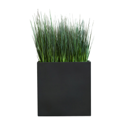 Plant Bac Graminées | Decoroom