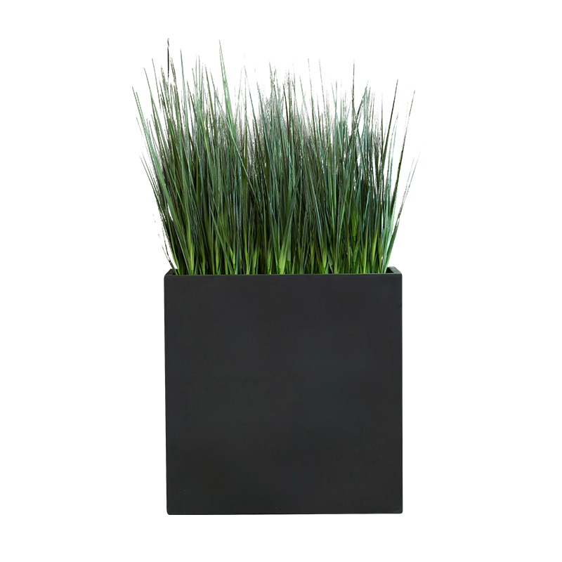 Plant Bac Graminées | Decoroom