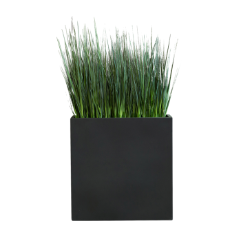 Plant Bac Graminées | Decoroom