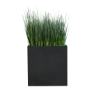 Plant Bac Graminées | Decoroom