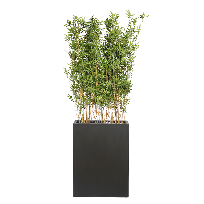 Plant Bac Bambous | Decoroom