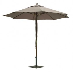 PARASOL